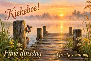 Een fuut gluurt achter een steigerpaal bij een mistig meer met bloemen langs de oever, met de tekst Kiekeboe! Fijne dinsdag Groetjes van mij.