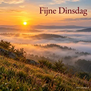 Een zee van ochtendmist tussen beboste heuvels bij een gouden zonsopkomst, gezien vanaf een heuvel met heide, met de tekst Fijne Dinsdag.