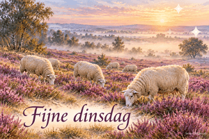 Een kudde schapen graast op een paarse heide met mist en berken in het ochtendlicht, met de tekst Fijne dinsdag.