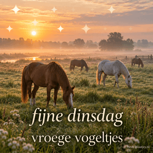 Vier paarden grazen in een mistig weiland terwijl de zon boven de bomen opkomt, met onderaan de begroeting fijne dinsdag vroege vogeltjes.