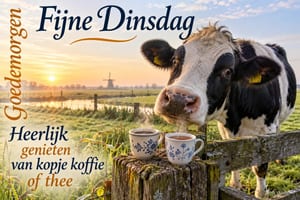 Een zwartbonte koe kijkt over een hek naar twee versierde kopjes, met een molen op de achtergrond en de groeten Fijne Dinsdag en Goedemorgen.