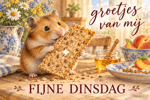 Een hamster houdt een grote zadencracker vast op een ontbijttafel, met de tekst groetjes van mij en FIJNE DINSDAG.