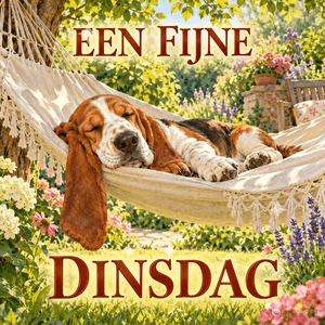 Een basset slaapt in een witte hangmat tussen uitbundige tuinbloemen in de zomer, met de tekst EEN FIJNE DINSDAG.