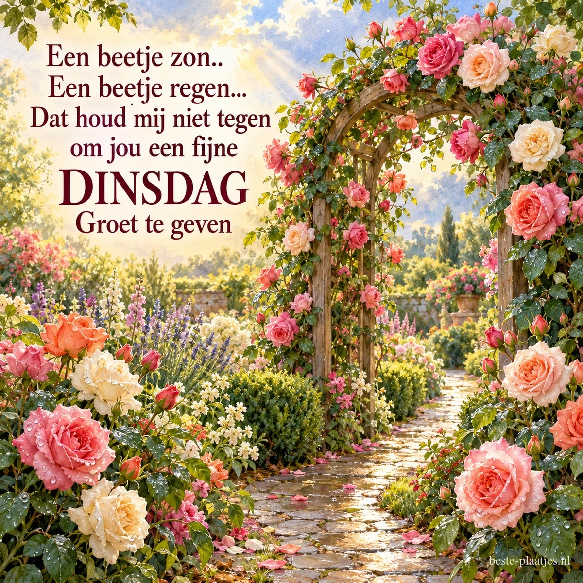 Een rozenboog vol roze en witte rozen boven een nat tuinpad in de zon, met de tekst Een beetje zon, Een beetje regen, Dat houd mij niet tegen om jou een fijne DINSDAG Groet te geven. Een rozenboog vol roze en witte rozen boven een nat tuinpad in de zon, met de tekst Een beetje zon, Een beetje regen, Dat houd mij niet tegen om jou een fijne DINSDAG Groet te geven.