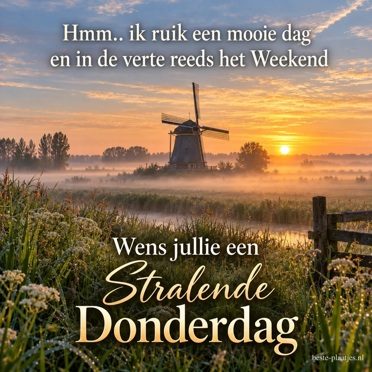 Een molen staat in een mistig weiland bij zonsopkomst in de zomer, met de tekst Wens jullie een Stralende Donderdag.