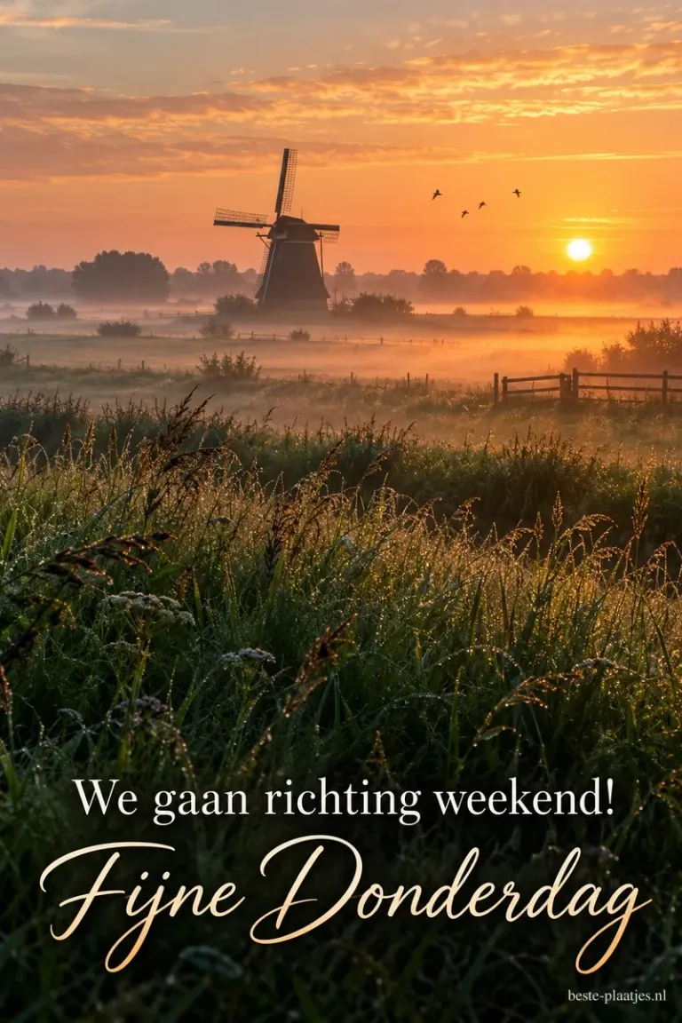 De opkomende zon verlicht een molen en mistige weilanden, met onderaan de tekst We gaan richting weekend! Fijne Donderdag.