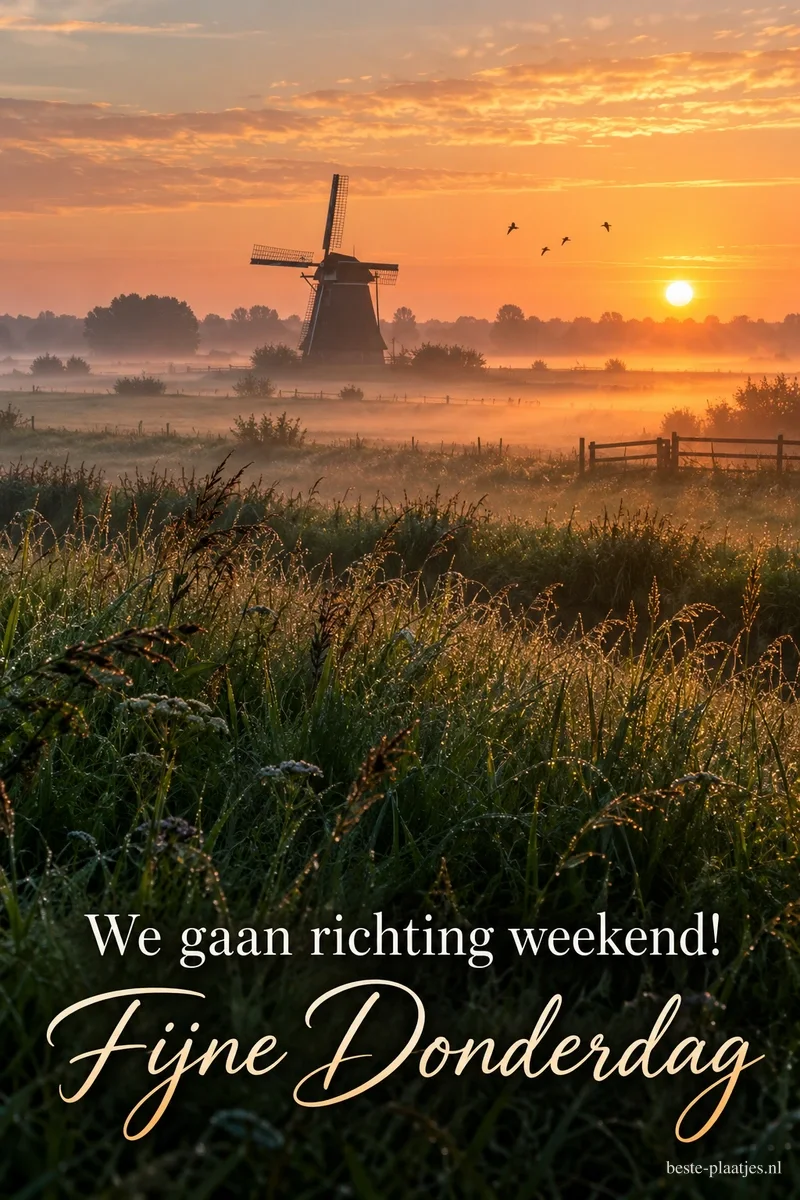 De opkomende zon verlicht een molen en mistige weilanden, met onderaan de tekst We gaan richting weekend! Fijne Donderdag.