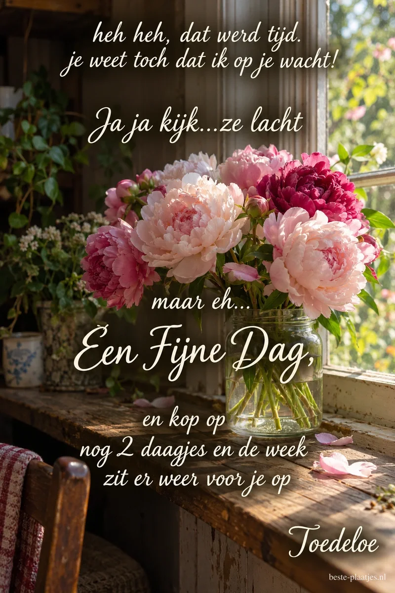Een glazen vaas met roze pioenrozen staat op een houten vensterbank in zonlicht, met de wens Een Fijne Dag.