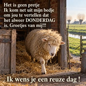 Een schaap met stro in zijn vacht stapt uit een stal met uitzicht op weilanden, bij een donderdaggroet en de tekst Ik wens je een reuze dag !