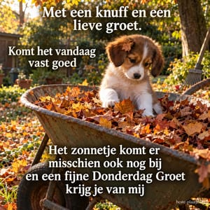 Een bruin-witte puppy zit in een kruiwagen vol bladeren in de herfst, met de tekst Met een knuff en een lieve groet.