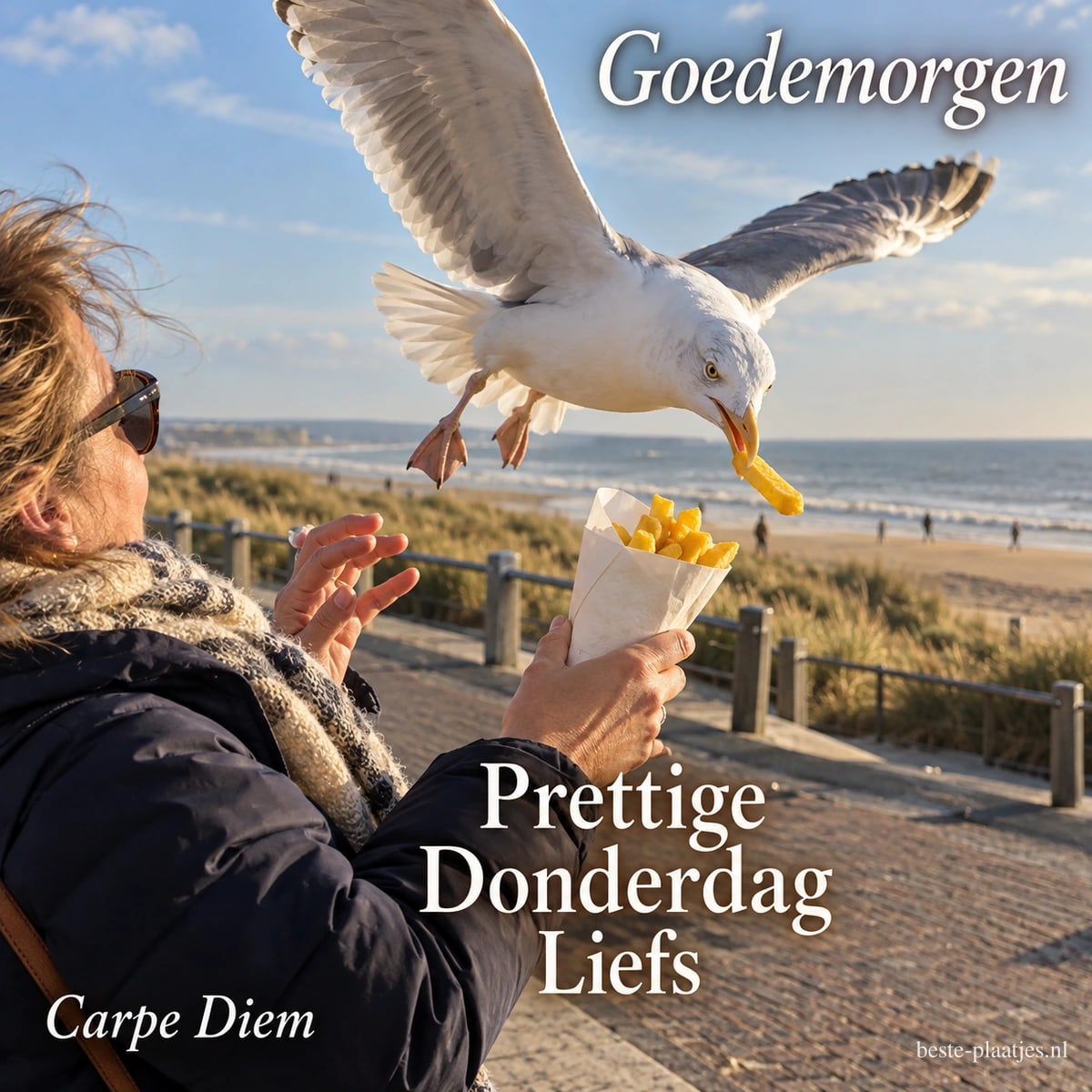 Een meeuw pakt in de zomer een frietje uit het zakje van een vrouw aan zee, met de tekst Goedemorgen Prettige Donderdag Liefs Carpe Diem. Een meeuw pakt in de zomer een frietje uit het zakje van een vrouw aan zee, met de tekst Goedemorgen Prettige Donderdag Liefs Carpe Diem.