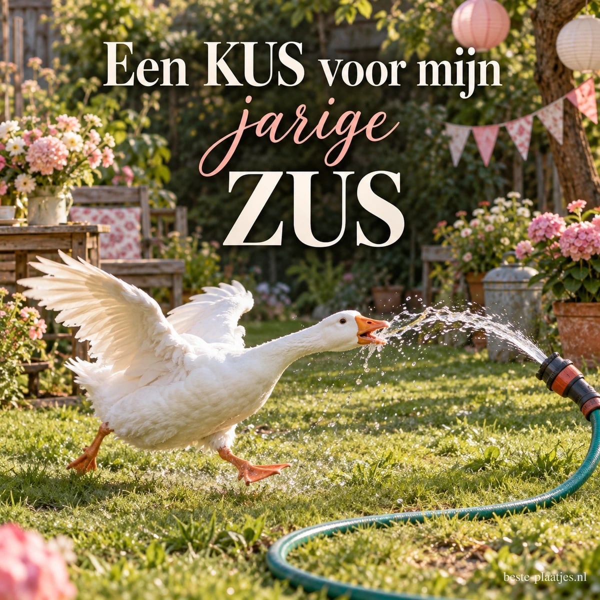 Een witte gans hapt in de zomer naar water uit een tuinslang in een versierde tuin, onder de tekst Een KUS voor mijn jarige ZUS.
