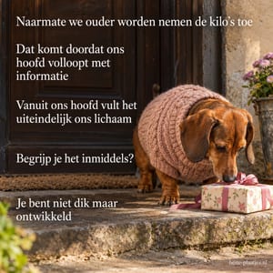 Een teckel in een roze gebreide trui besnuffelt een cadeau bij een voordeur, naast een lange tekst die eindigt met Je bent niet dik maar ontwikkeld.