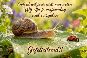 Een slak kruipt naar een lieveheersbeestje op een blad, met de tekst Ook al wil je er niets van weten Wij zijn je verjaardag niet vergeten Gefeliciteerd!!