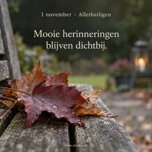 Allerheiligen 1/11