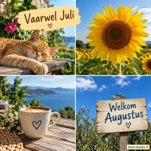 Welkom Augustus 1/8
