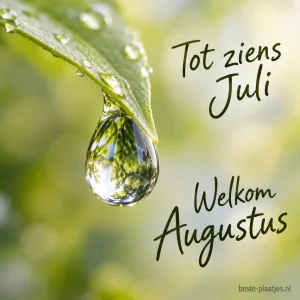 Een heldere waterdruppel hangt aan een groen blad.