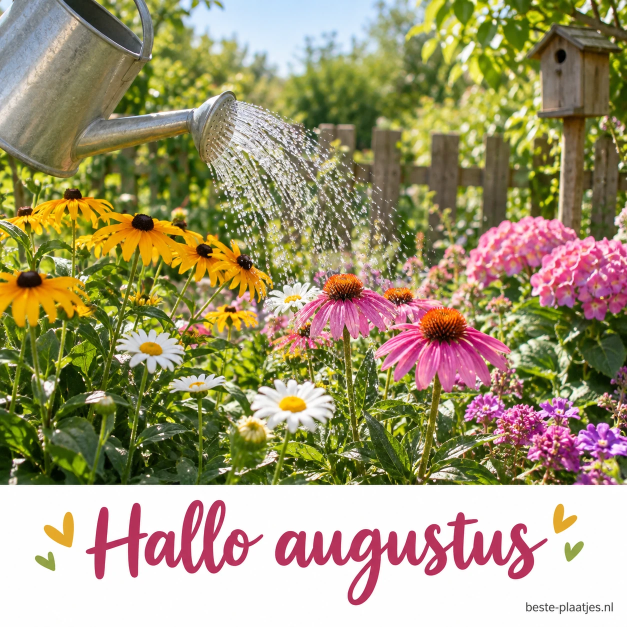 Een gieter geeft water aan kleurrijke bloemen in een tuin. Een gieter geeft water aan kleurrijke bloemen in een tuin.