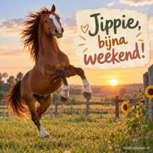 Een paard steigert in de avondzon bij een vrolijke weekendwens.