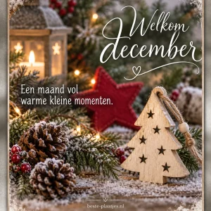 Welkom December 1/12