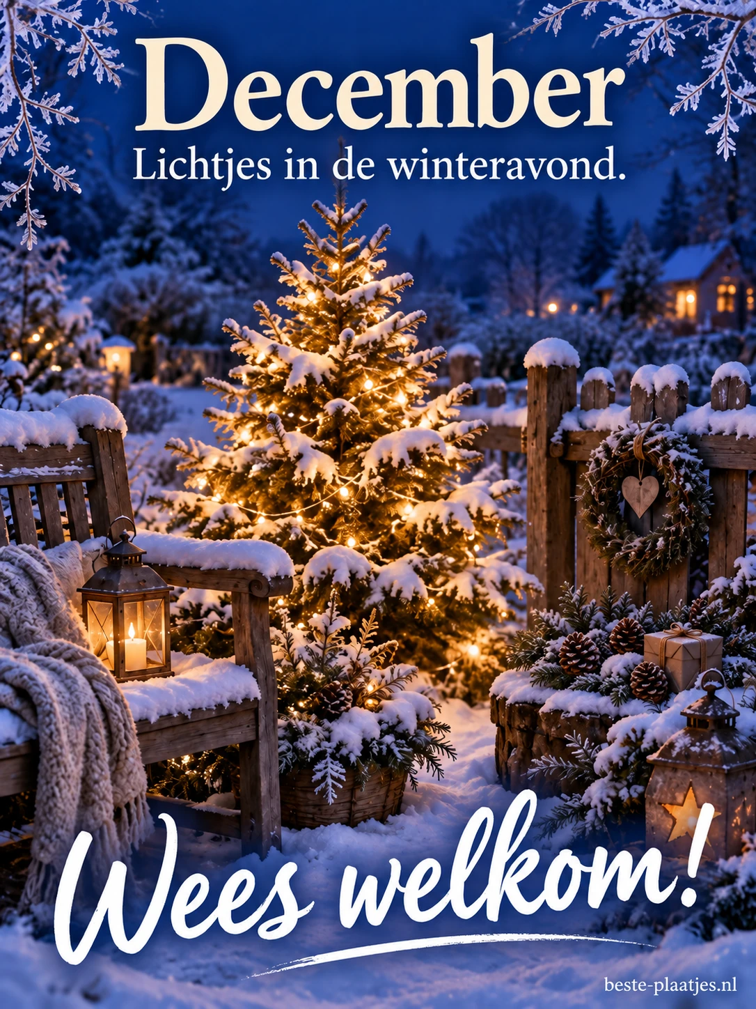 Een kleine verlichte kerstboom in de sneeuw brengt warmte in een blauwe winteravond. Een kleine verlichte kerstboom in de sneeuw brengt warmte in een blauwe winteravond.