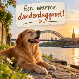 Hond geniet van de zon met een brug op de achtergrond.
