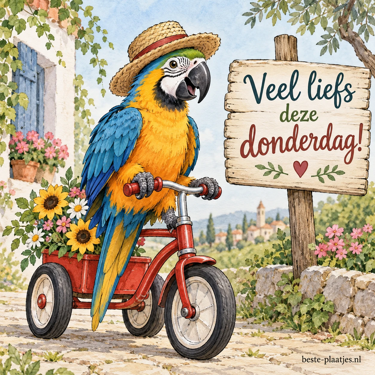 Een papegaai zit op een driewieler. Een papegaai zit op een driewieler.