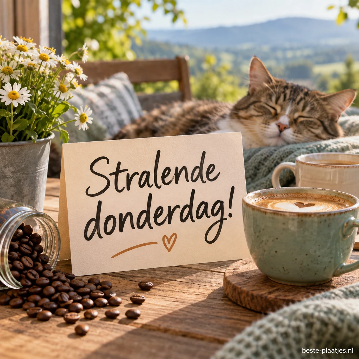 Een warme kop koffie brengt rust en een glimlach op deze mooie dag. Een warme kop koffie brengt rust en een glimlach op deze mooie dag.