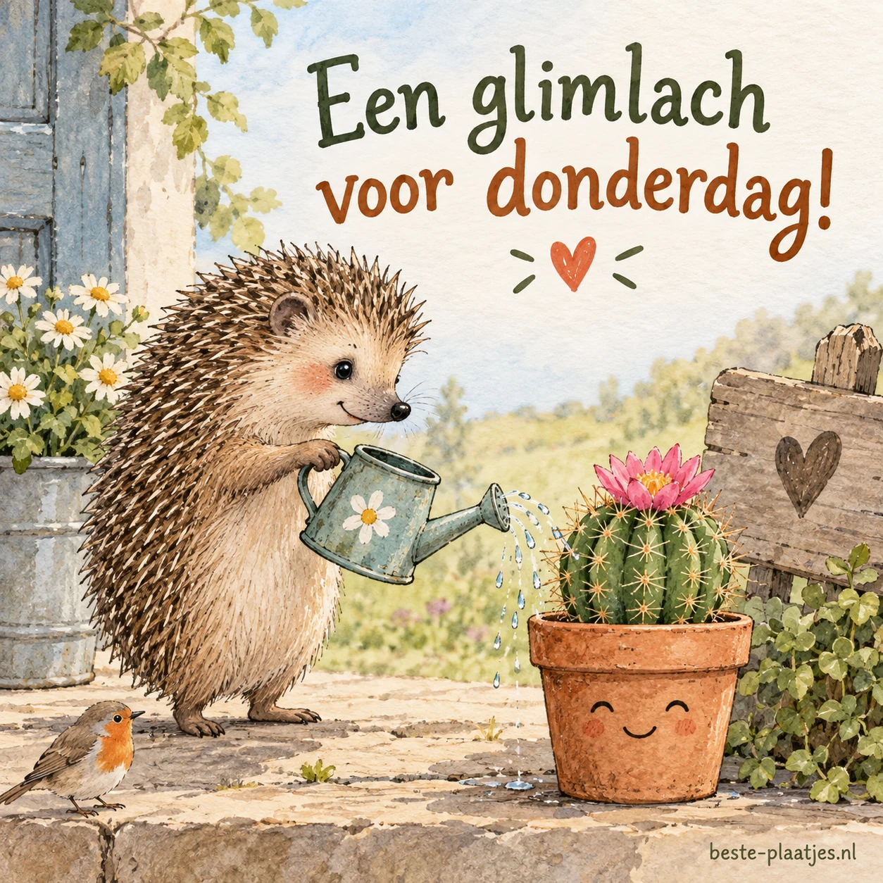 Een egel giet water uit een mini-gieter op een cactus.