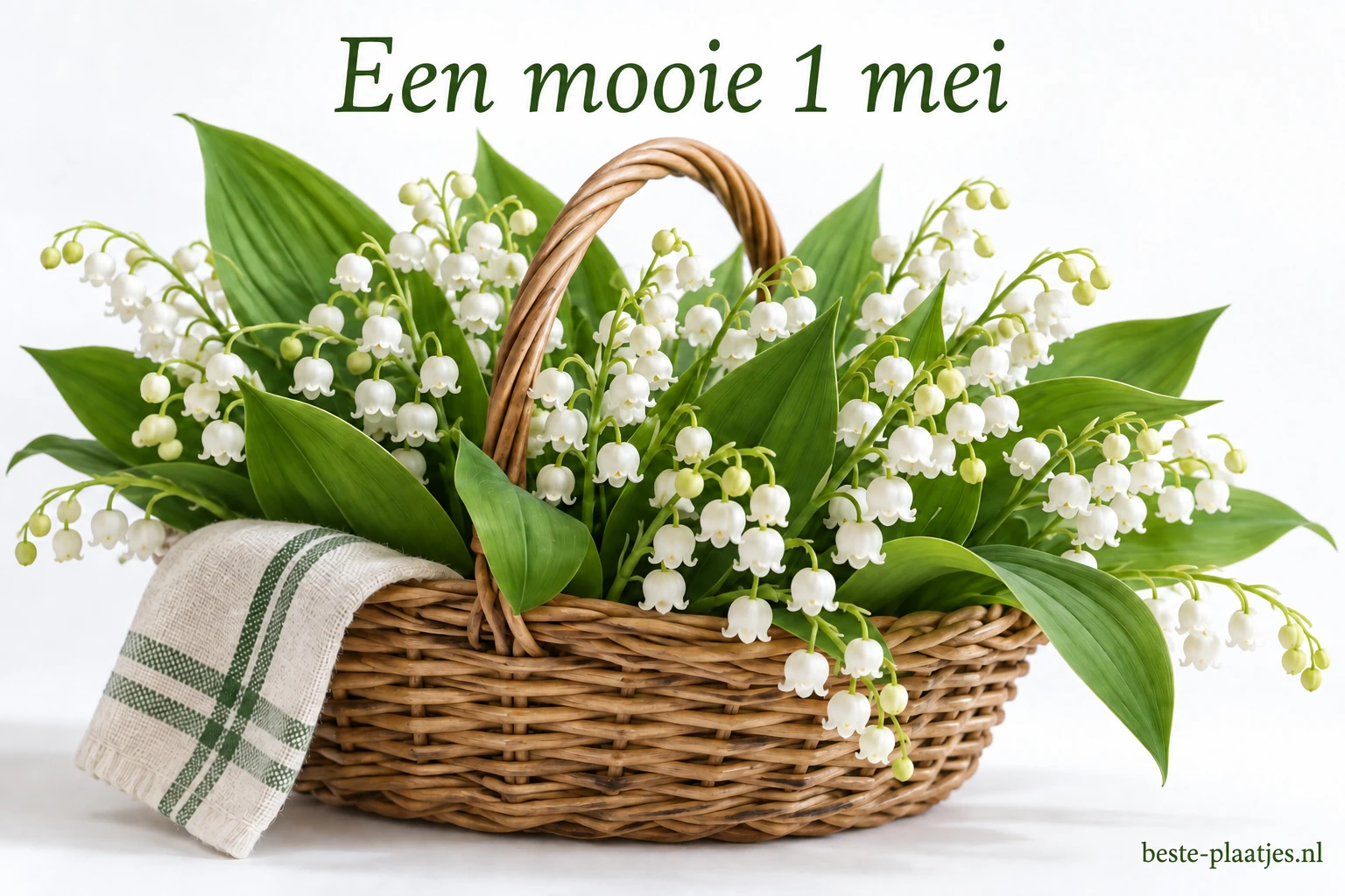 Een lage rieten mand is gevuld met witte meiklokjes en groene bladeren. Een lage rieten mand is gevuld met witte meiklokjes en groene bladeren.