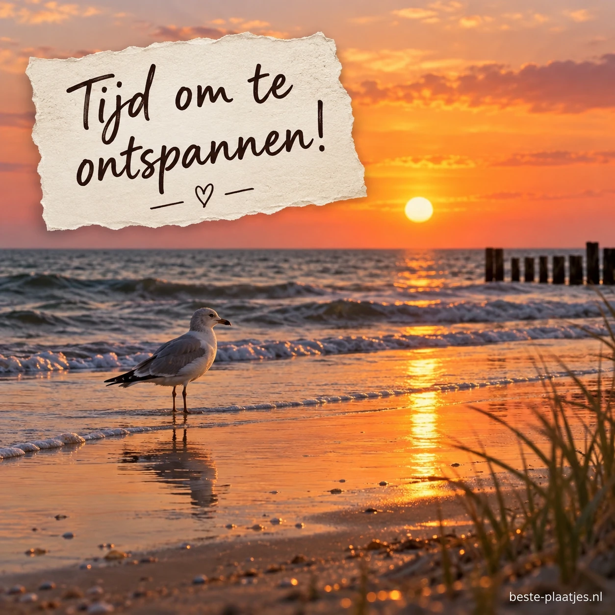 Zonsondergang aan het strand met een vogel in het water.