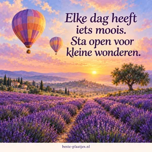Twee luchtballonnen zweven boven paarse lavendelvelden bij een warme zonsopkomst.
