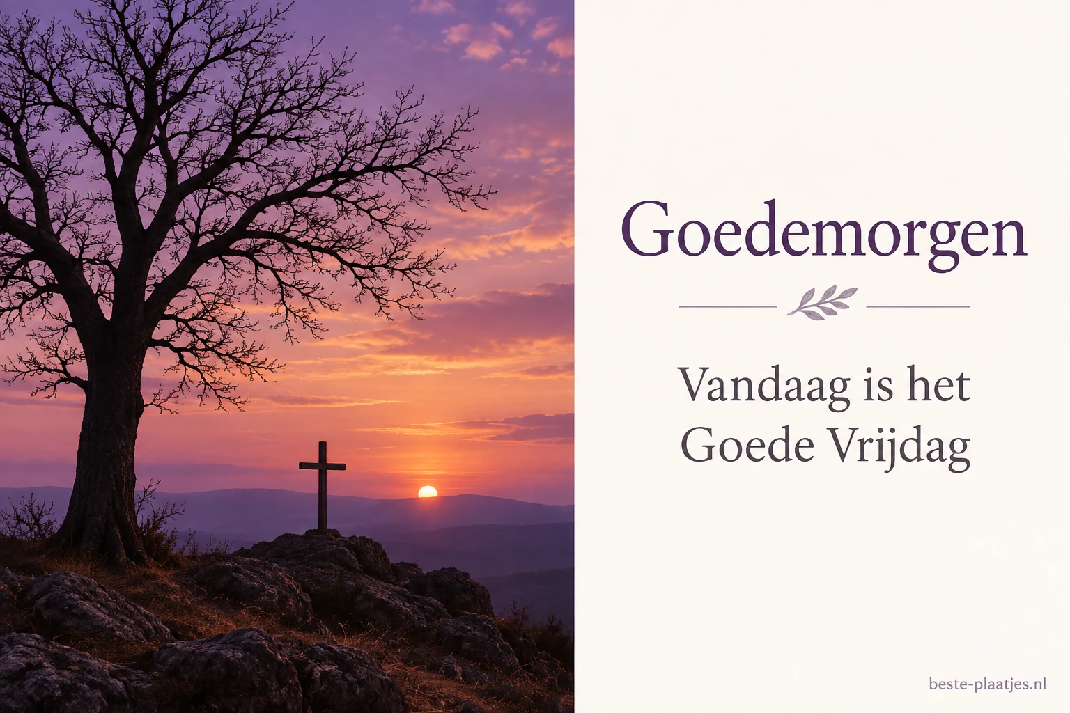 Een kale boom staat als silhouet tegen een paarse zonsondergang. Een kale boom staat als silhouet tegen een paarse zonsondergang.