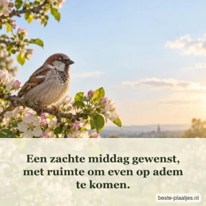 Een mus rust op een bloeiende tak in de warme middagzon.