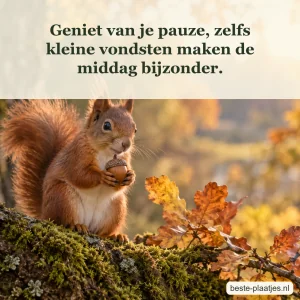 Een rode eekhoorn houdt een eikel vast op een bemoste tak.