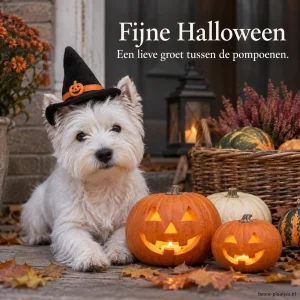 Een witte puppy bij een mand en pompoenen brengt een vriendelijke Halloweengroet.