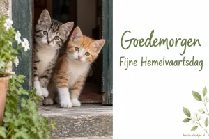 Twee jonge katjes kijken vanuit een deuropening naast een witte tekstkaart.