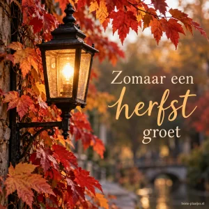 Herfst 23/9