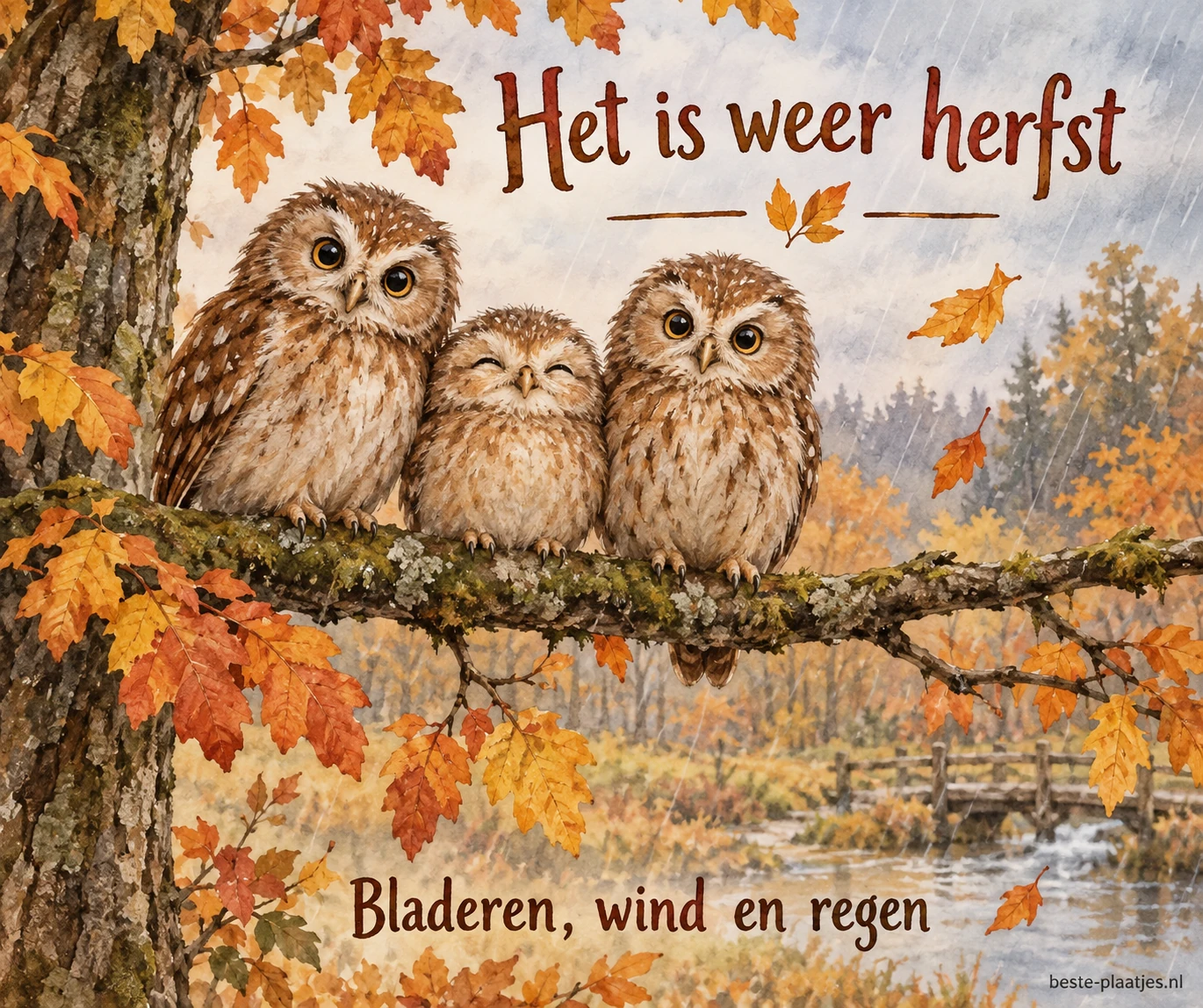 Drie jonge uilen zitten op een tak terwijl herfstbladeren door de regen waaien. Drie jonge uilen zitten op een tak terwijl herfstbladeren door de regen waaien.