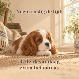 Een jonge spaniel rust op een kleed bij het raam in warm ochtendlicht.
