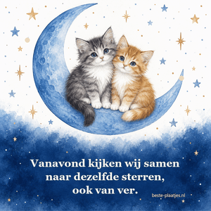 Twee kittens zitten dicht tegen elkaar op een blauwe maan onder fonkelende sterren.