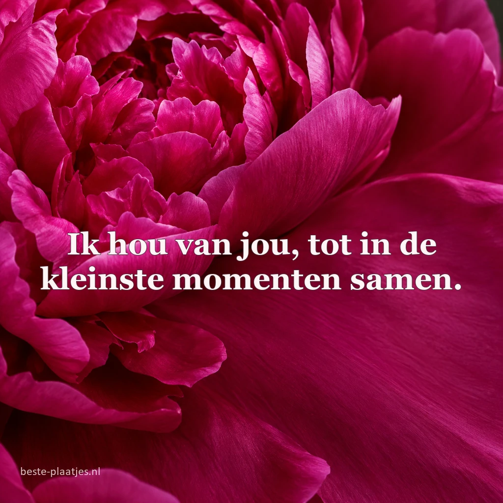Een fluweelachtige magenta pioenroos vult het hele beeld. Een fluweelachtige magenta pioenroos vult het hele beeld.