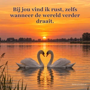 Twee witte zwanen zwemmen naar elkaar toe op een amberkleurig meer.