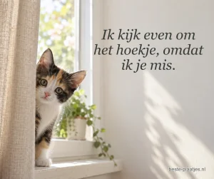 Een nieuwsgierige lapjeskat gluurt achter een linnen gordijn vandaan.