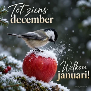 Een mees op een besneeuwde rode appel verwelkomt januari.