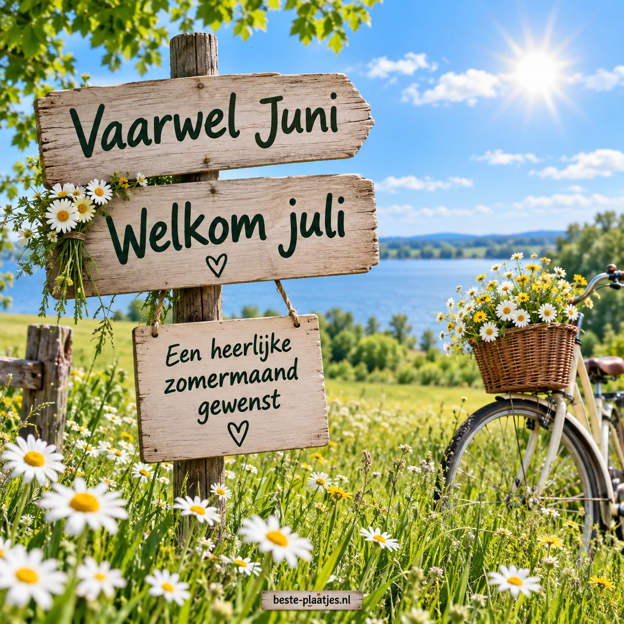 Houten wegwijzers staan tussen madeliefjes bij een meer.