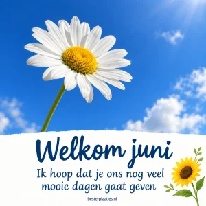 Een witte margriet staat tegen een heldere blauwe lucht boven een witte tekststrook.
