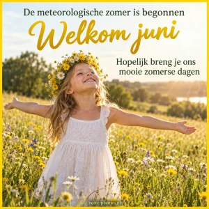 Een meisje met gespreide armen staat in een zonnig bloemenveld.