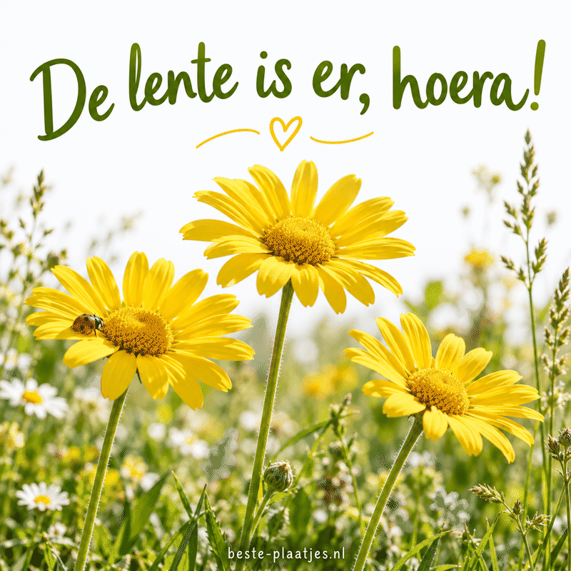 Drie gele bloemen staan naast elkaar in zonnig lentegras.