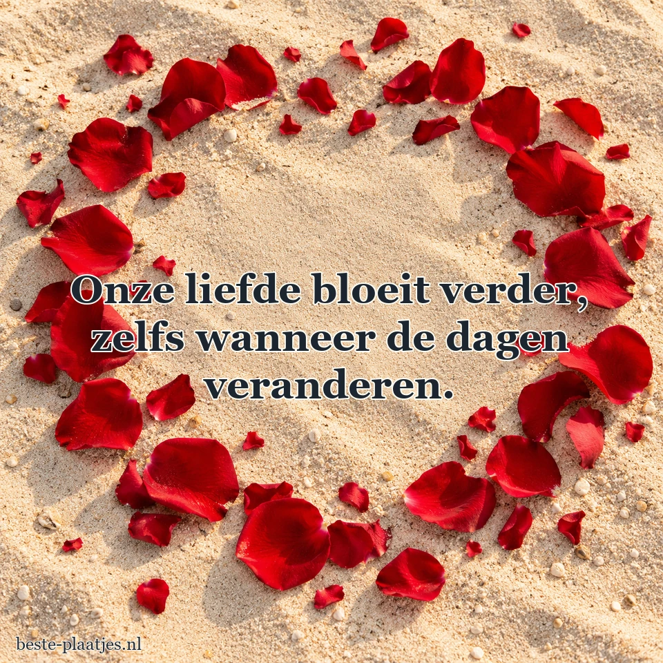 Rode rozenblaadjes vormen een losse krans op zand. Rode rozenblaadjes vormen een losse krans op zand.